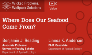 Where does our seafood come from?