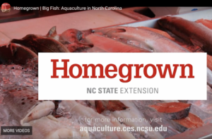 Homegrown NC State Extension